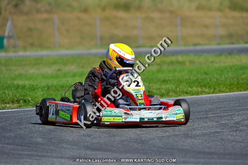 DSC_ (1369).jpg